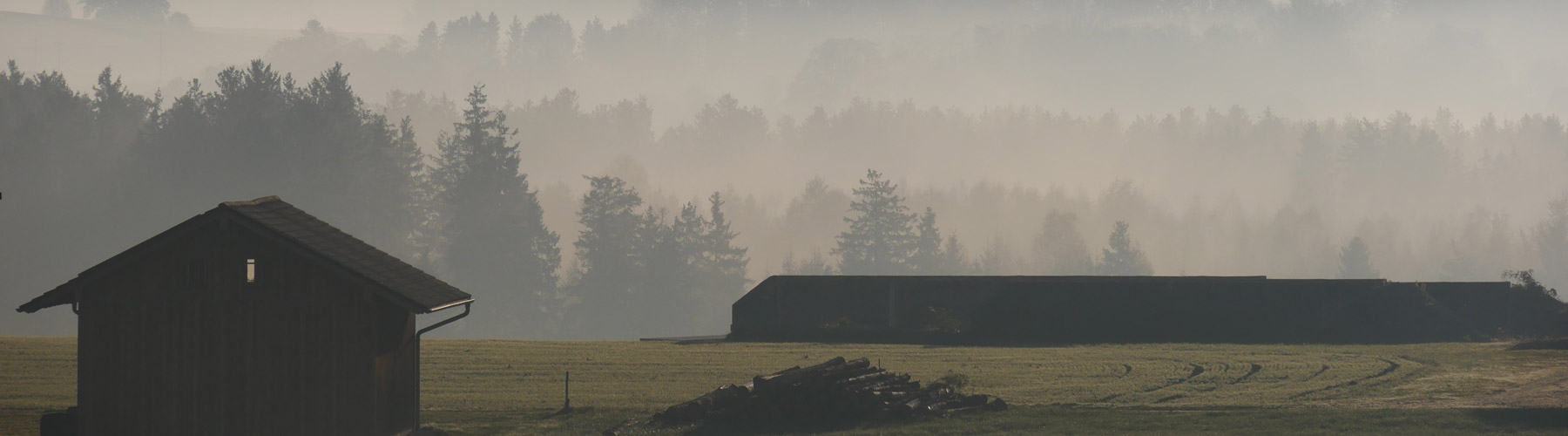 Header Bild-8-1800x500.jpg