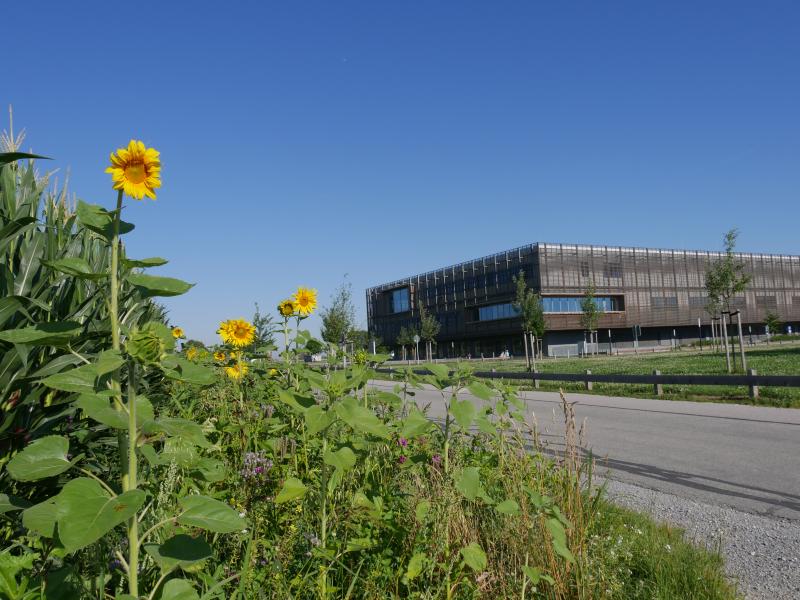 Foto: Irmengard Sewald, Titel: Gemeindebilder_Sewald_Irmi (21) Foto: Irmengard Sewald, Titel: Gemeindebilder_Sewald_Irmi (21)