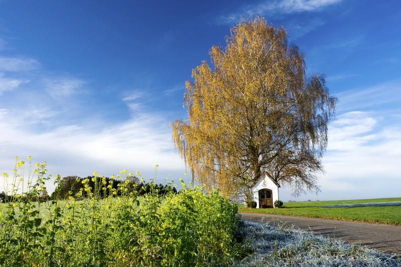 Foto: Gottfried Jungbeck, Titel: Vogtareuth_0050 Foto: Gottfried Jungbeck, Titel: Vogtareuth_0050