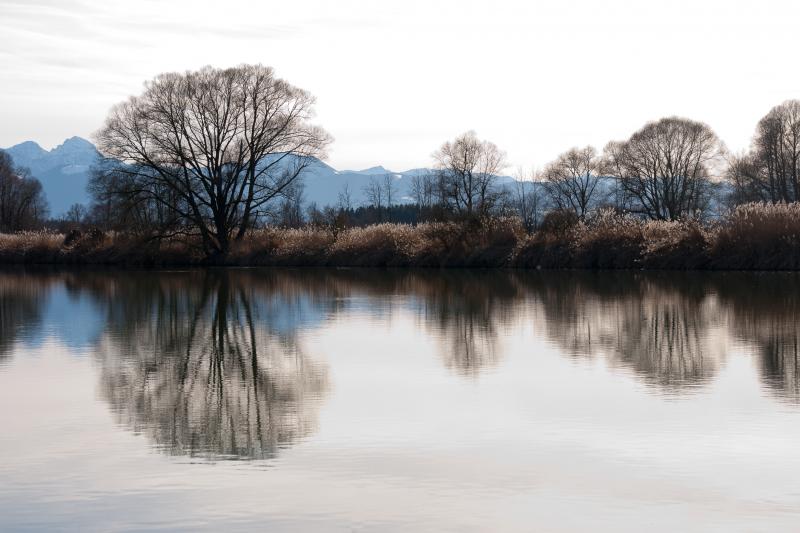 Foto: Gottfried Jungbeck, Titel: Vogtareuth_0088 Foto: Gottfried Jungbeck, Titel: Vogtareuth_0088