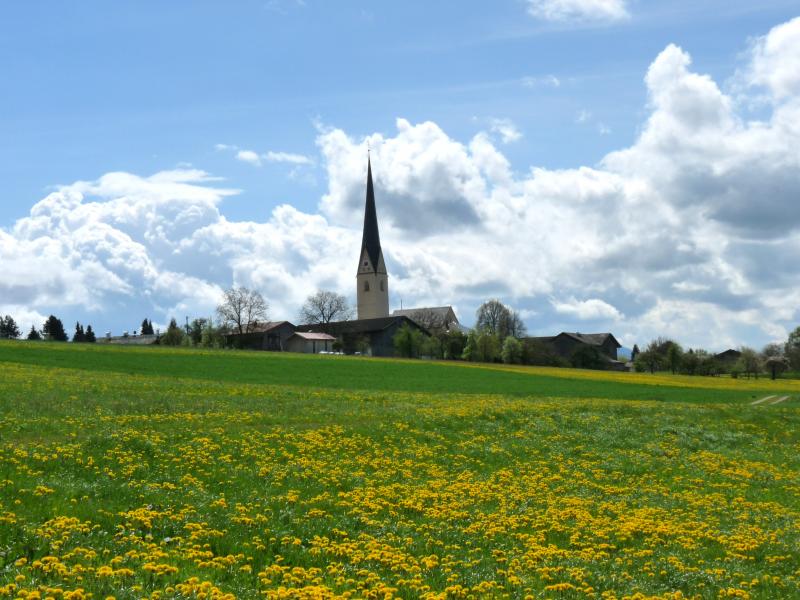 Foto: Dr. Christian Petermann, Titel: Zaisering_15(19) Foto: Dr. Christian Petermann, Titel: Zaisering_15(19)
